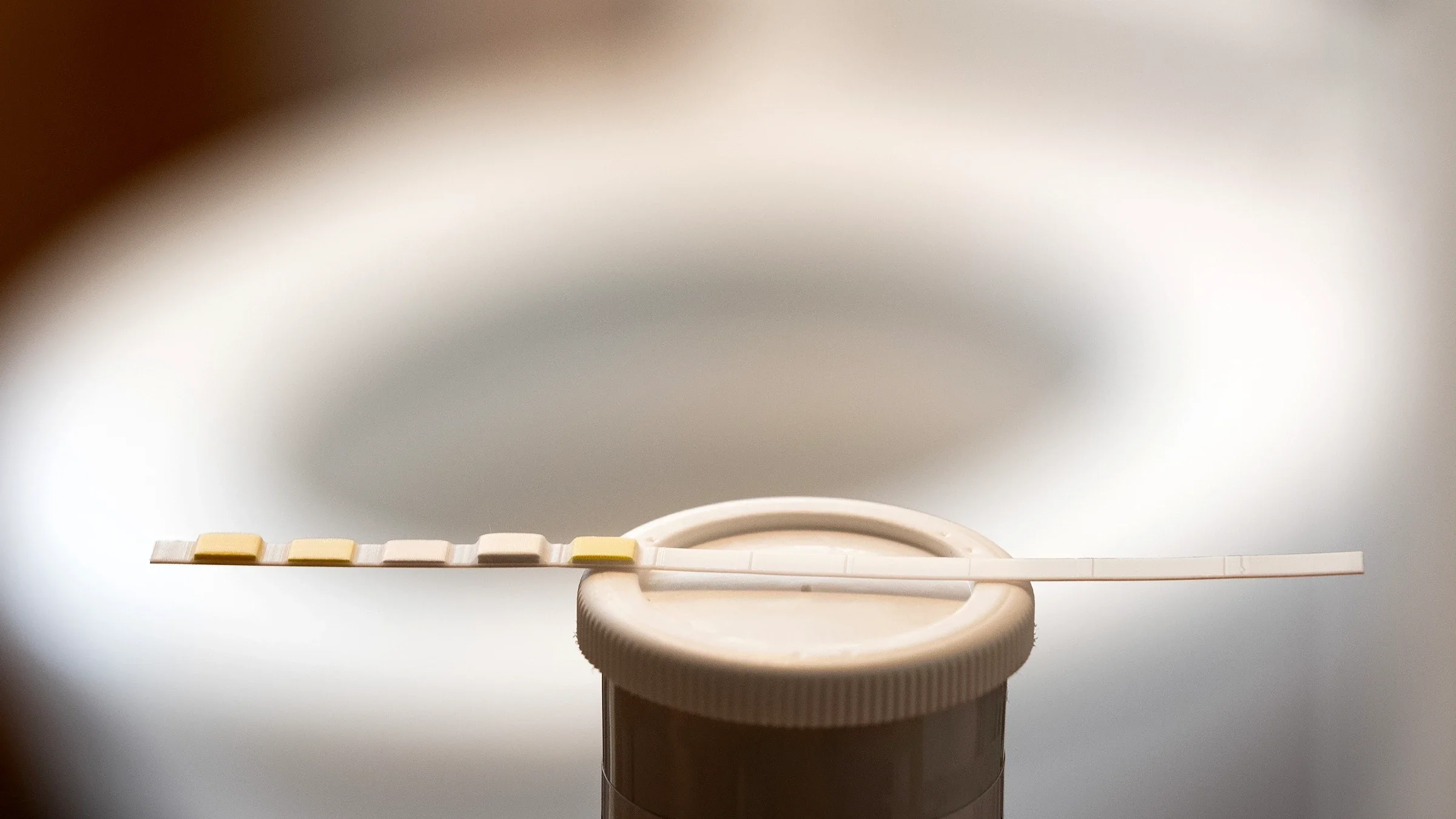 Close-up pH test strip.