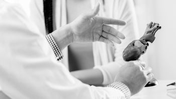 black and white cropped shot doctor explain heart diagnosis with model 701228292