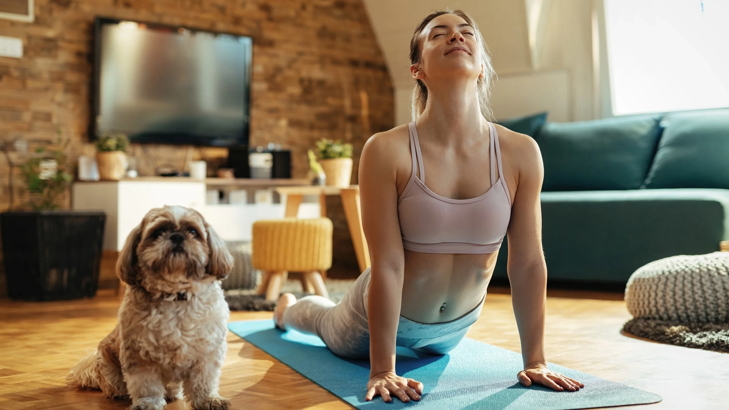 A person doing yoga in their living room, with their dog next to them.