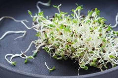 More people are looking for natural ways to lower cholesterol to avoid medication costs and side effects. Learn different ways to lower your cholesterol naturally.