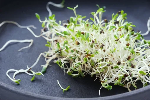10 Natural Ways to Lower Your Cholesterol