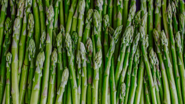 Urology: Smell: asparagus 852115480