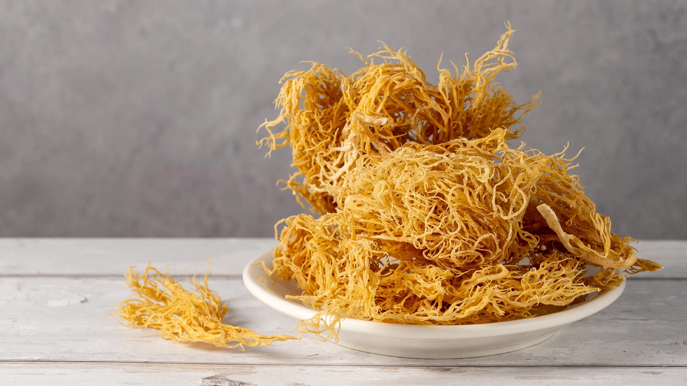 Close-up of sea moss on a plate as a food supplement