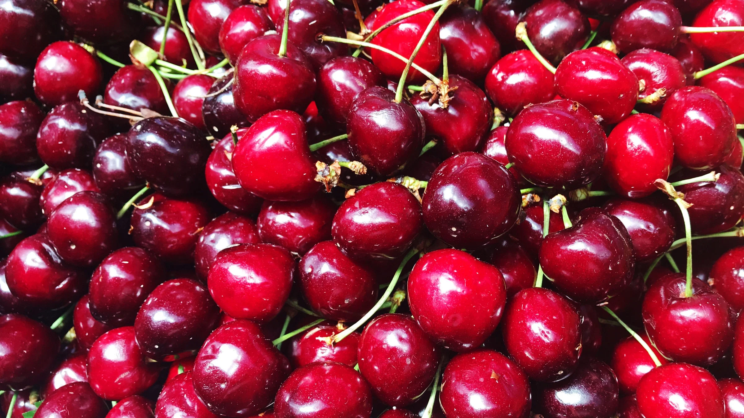 Close up of cherries.