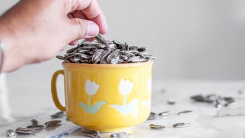 diet-nutrition: closeup hand with sunflower seeds 1256442743