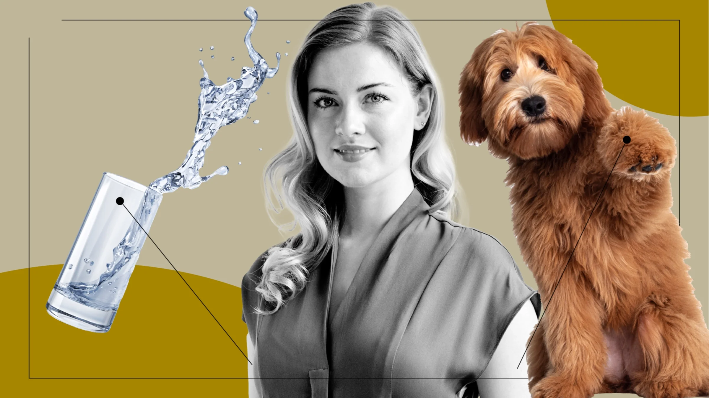 Custom graphic showing what it feels like to have tremors. In the center is a black and white portrait of a young business woman. Off of her are diagram lines pointing to objects representing the feelings. On the left is a spilled glass of water. On the right is a fluffy dog with his paw up.