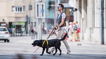 Low vision: blind individual walking with cane and guide dog 1189771198
