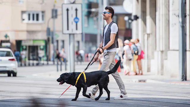 Low vision: blind individual walking with cane and guide dog 1189771198