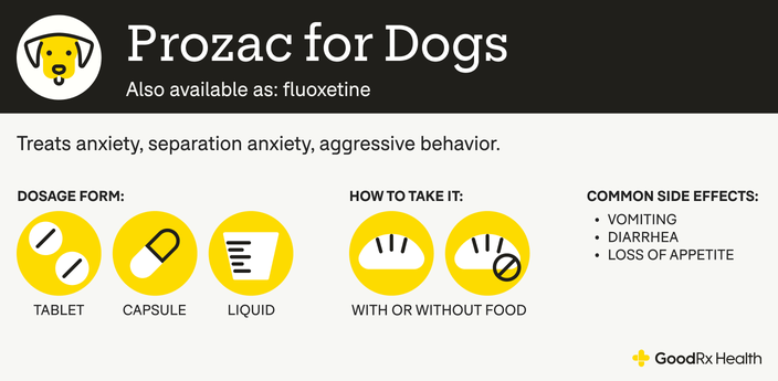 An infographic explaining Prozac for dogs, including its alternative names, uses, dosage forms, administration guidelines, and common side effects.