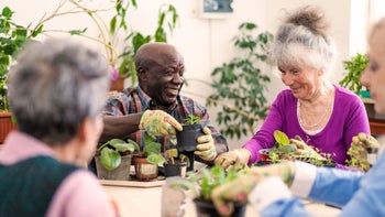 Health: Psoriatic arthritis: seniors potting plants 1402900183