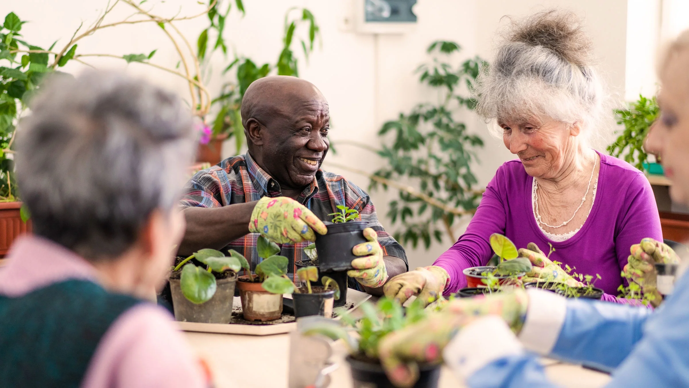 Friends tend to potted plants on a table.