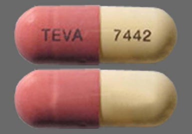 Pink And White Teva 7442 - Fluvastatin Sodium 20mg Capsule