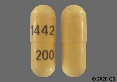 Yellow Capsule 1442 200 - Celecoxib 200mg Capsule