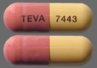 Pink And Yellow Teva 7443 - Fluvastatin Sodium 40mg Capsule