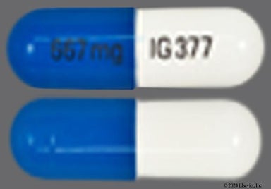 Blue, White Capsule 667 mg IG 377 - Calcium Acetate 667mg Capsule
