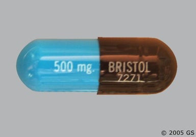 Black, Blue Capsule BRISTOL 7271 500mg - Cefadroxil 500mg Capsule
