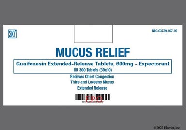 White Oblong G233 - Mucus Relief 600mg Extended-Release Tablet