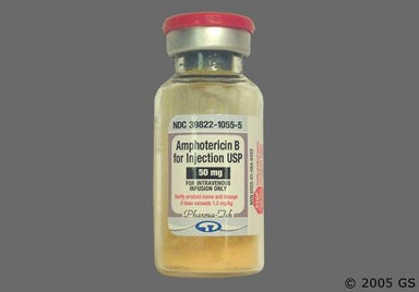 orange and yellow - Amphotericin B 50mg Powder for Injection