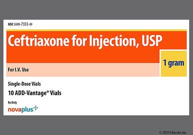 Yellow Not applicable - Ceftriaxone 1g Powder for Injection (NOVAPLUS)