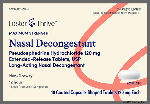 White Oblong 204 - Foster & Thrive Nasal Decongestant 12 Hour Maximum Strength 120mg Extended-Release Tablet