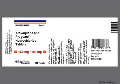 Brown Round G And 404 - Atovaquone/Proguanil Hydrochloride 250mg-100mg Tablet