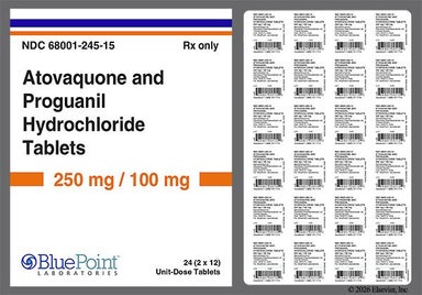 Brown Round 404 - Atovaquone/Proguanil Hydrochloride 250mg-100mg Tablet