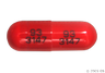 What should I avoid while taking cephalexin?