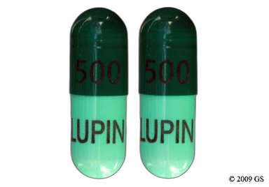 buy cephalexin 500mg without