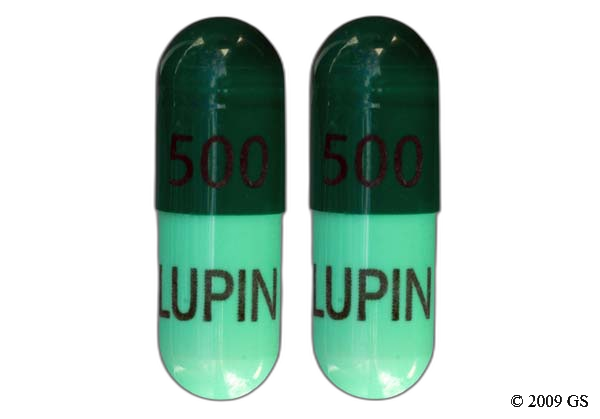 Cephalexin Prices Coupons Savings Tips GoodRx