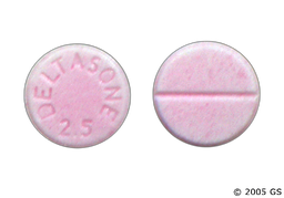 Deltasone Coupon - Deltasone 2.5mg tablet
