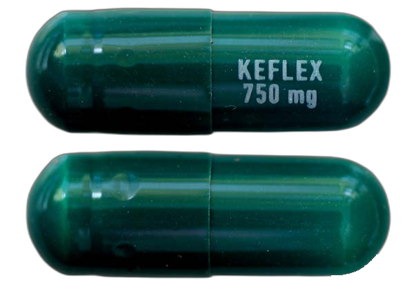 Keflex