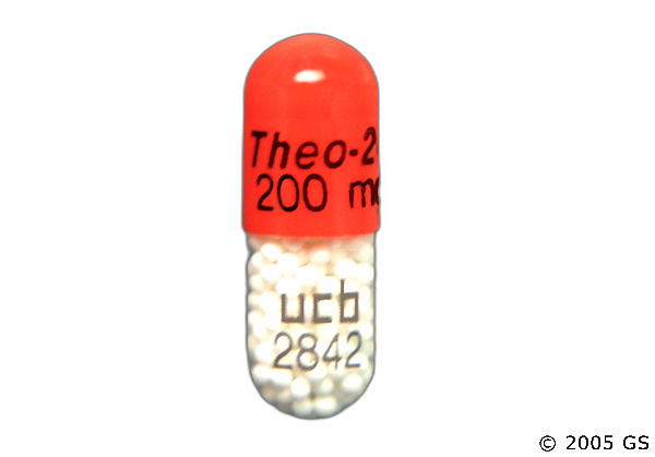 Theo-24