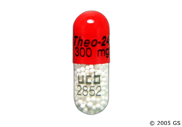 Theo-24