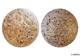 Sennosides Coupon - Sennosides 8.6mg tablet