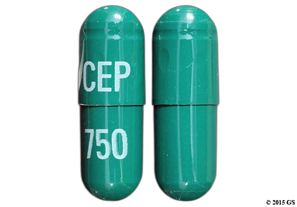 Cephalexin