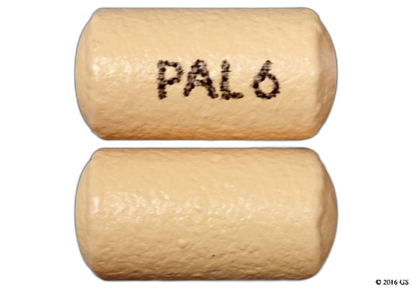 Invega