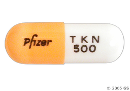 Tikosyn Coupon - Tikosyn 500mcg capsule