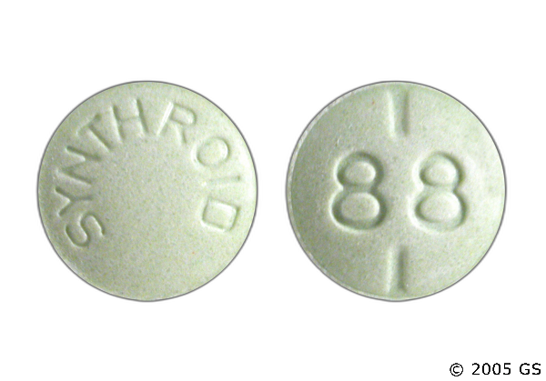 Synthroid .05 Mg