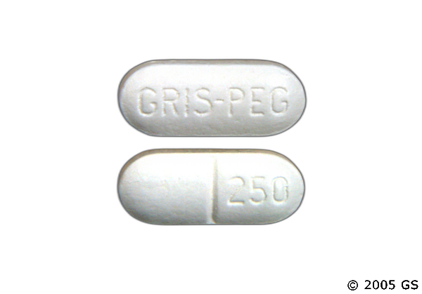 Gris-Peg