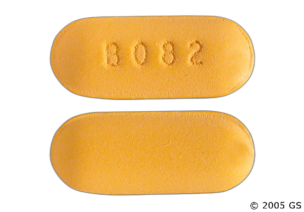 Folbee Plus
