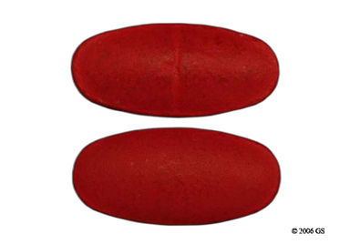 Proferrin Forte Coupon - Proferrin Forte 1mg/12mg tablet