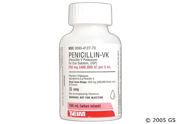 Can Dogs Take Penicillin V Potassium