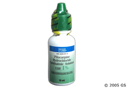 Pilocarpine Coupon - Pilocarpine 15ml of 1% eye dropper