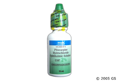 Pilocarpine Coupon - Pilocarpine 15ml of 2% eye dropper