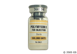 Polymyxin B Coupon - Polymyxin B 500,000 units vial