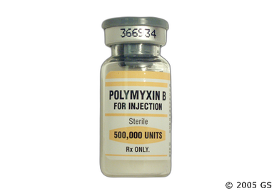 Polymyxin B Coupon - Polymyxin B 500,000 units vial