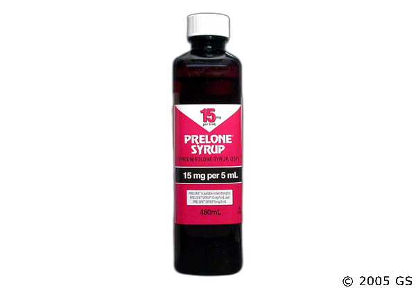 Prelone