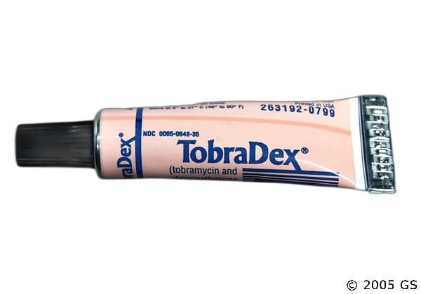 Tobradex Ointment