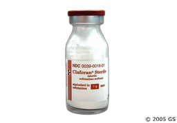 Claforan Coupon - Claforan 1g vial