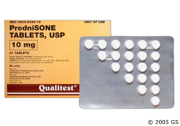 Cats, Dogs and https://buysteroids24online.com/